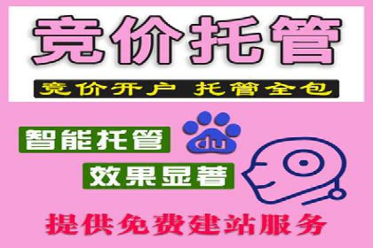 某企业SEM推广全流程解析——从策划到执行的成功案例